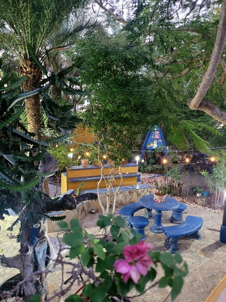 Steviewonderland Playa El Yaque Hotel ภายนอก รูปภาพ