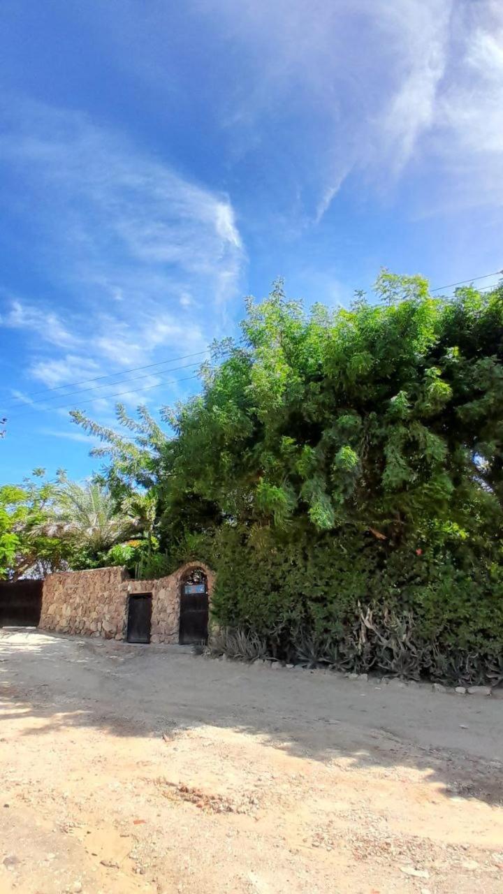 Steviewonderland Playa El Yaque Hotel ภายนอก รูปภาพ